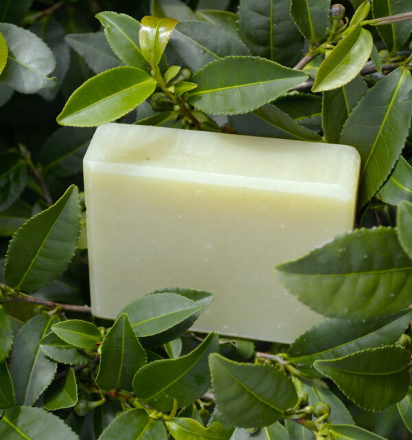 All-Natural Soap with Green Tea by La Salle BOTANIQUE