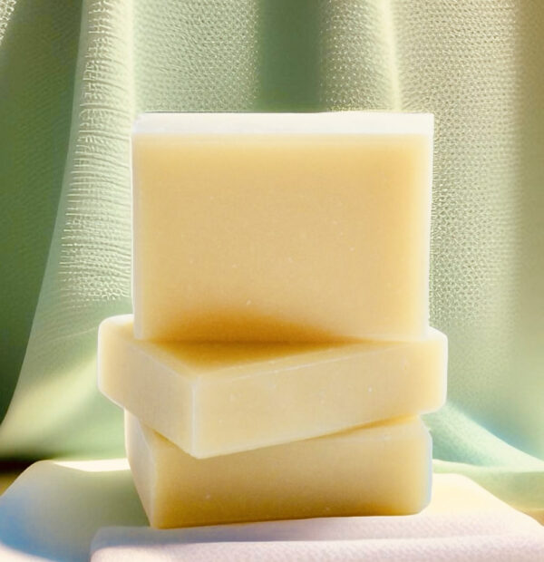 Handcrafted natural soap for sensitive skin Aloe Vera by La Salle BOTANIQUE